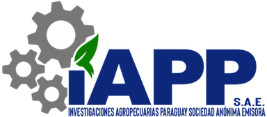 Footer Logo